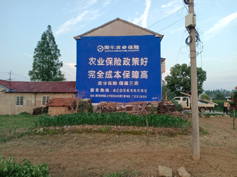 美姑墙体广告的优劣势你知道吗？